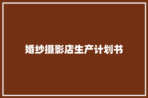 婚纱摄影店生产计划书