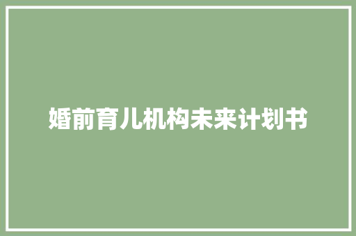 婚前育儿机构未来计划书