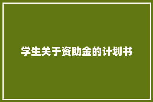 学生关于资助金的计划书