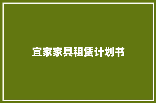 宜家家具租赁计划书