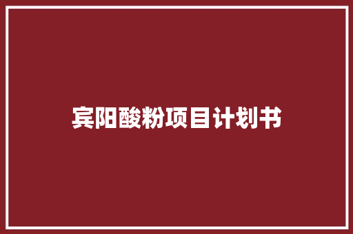 宾阳酸粉项目计划书