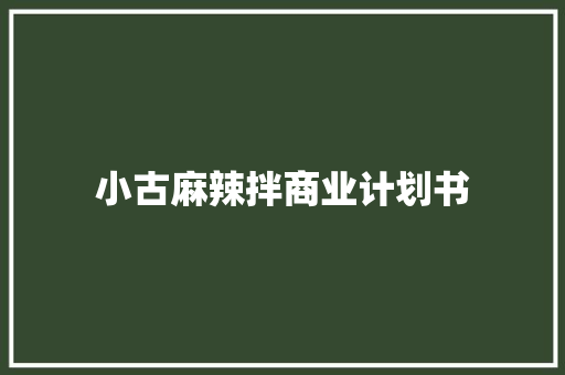 小古麻辣拌商业计划书