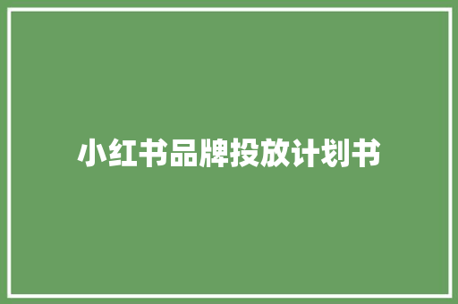 小红书品牌投放计划书