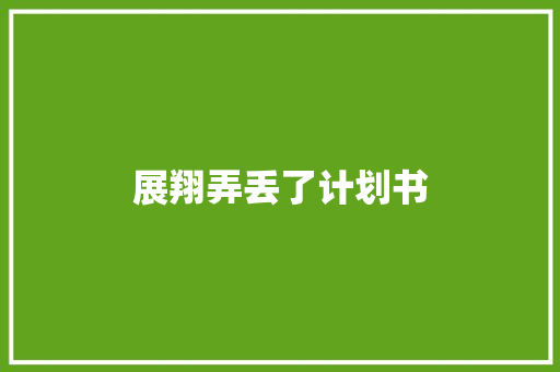 展翔弄丢了计划书