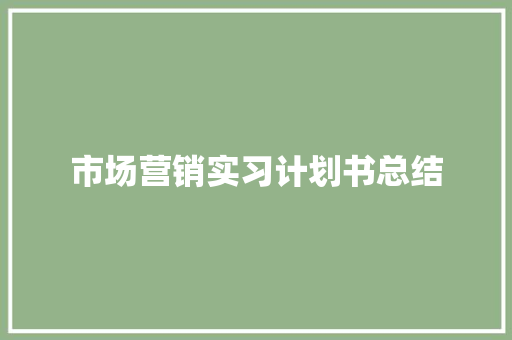 市场营销实习计划书总结