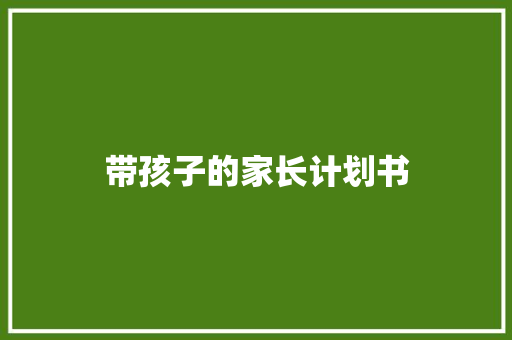 带孩子的家长计划书