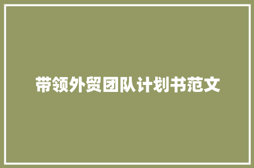 带领外贸团队计划书范文