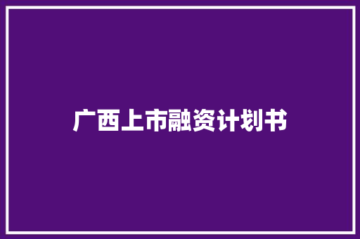 广西上市融资计划书