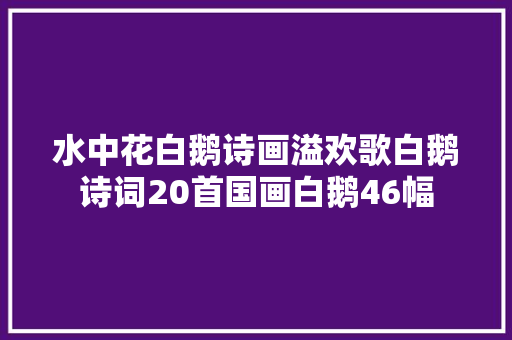 水中花白鹅诗画溢欢歌白鹅诗词20首国画白鹅46幅