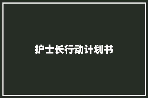 护士长行动计划书