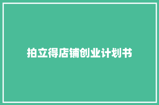 拍立得店铺创业计划书