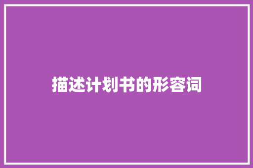 描述计划书的形容词