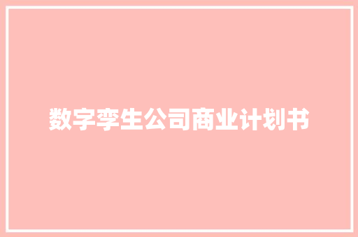 数字孪生公司商业计划书