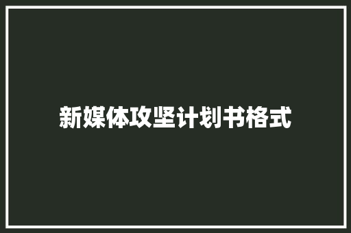 新媒体攻坚计划书格式