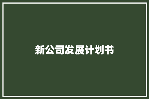 新公司发展计划书