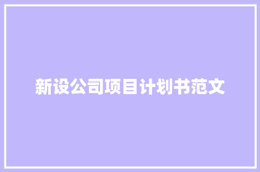新设公司项目计划书范文