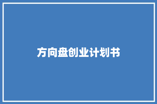 方向盘创业计划书