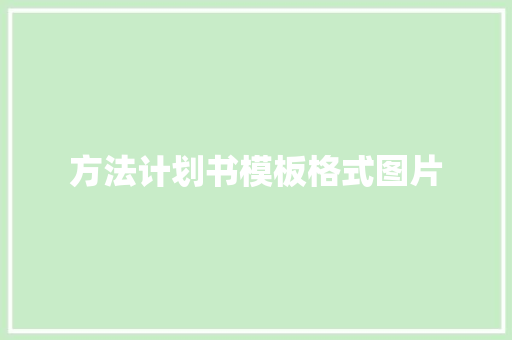 方法计划书模板格式图片