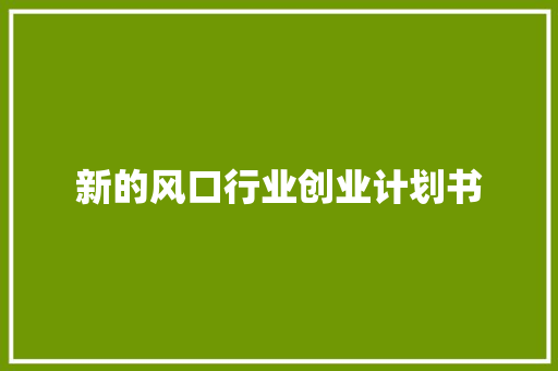 新的风口行业创业计划书