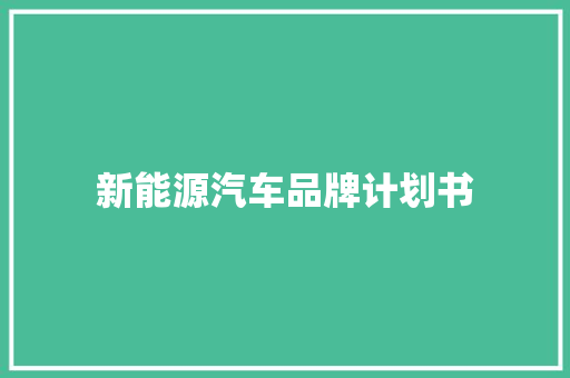 新能源汽车品牌计划书