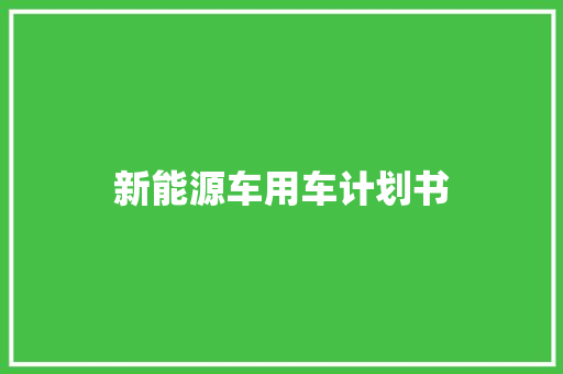 新能源车用车计划书
