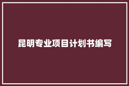 昆明专业项目计划书编写