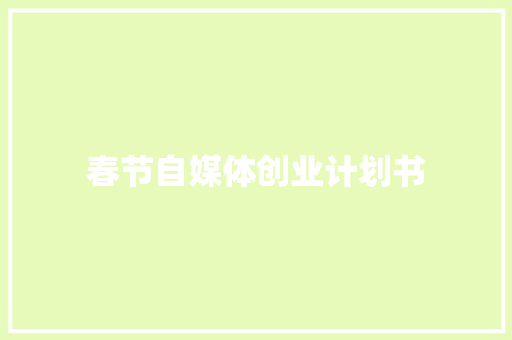 春节自媒体创业计划书