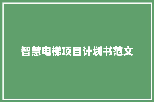 智慧电梯项目计划书范文