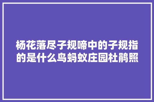 杨花落尽子规啼中的子规指的是什么鸟蚂蚁庄园杜鹃照样鹧鸪