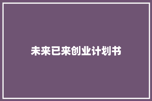 未来已来创业计划书