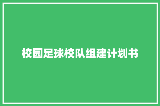 校园足球校队组建计划书