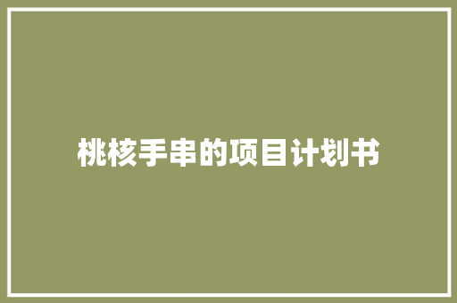 桃核手串的项目计划书