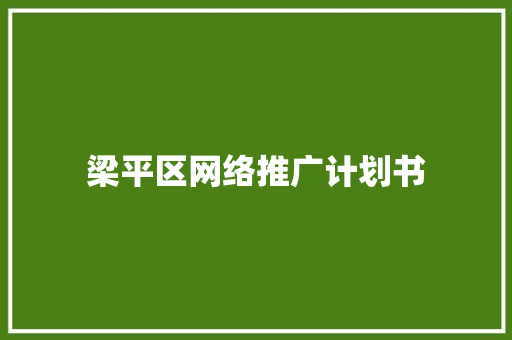 梁平区网络推广计划书
