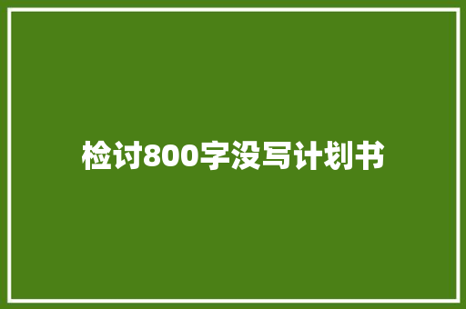 检讨800字没写计划书