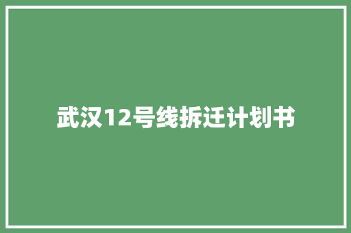 武汉12号线拆迁计划书