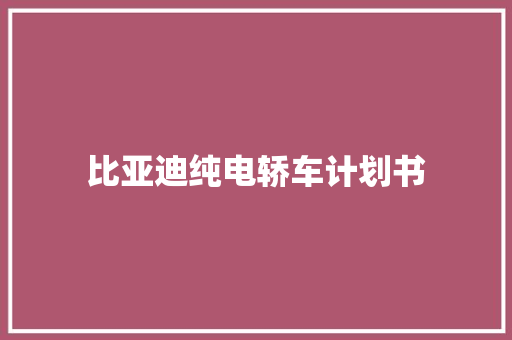 比亚迪纯电轿车计划书