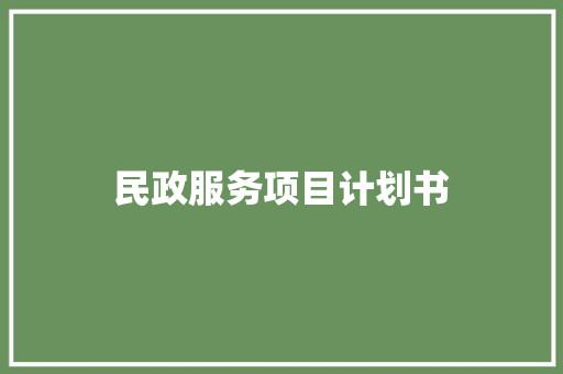 民政服务项目计划书