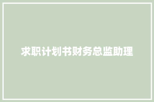 求职计划书财务总监助理