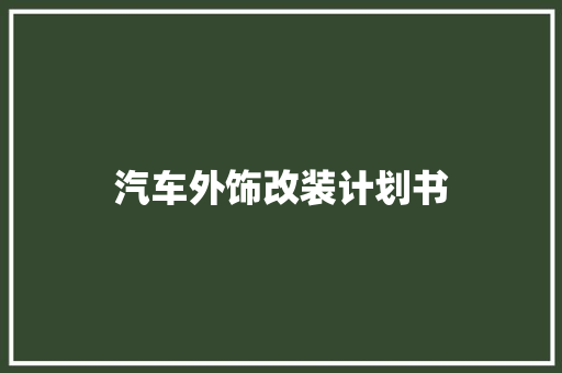 汽车外饰改装计划书