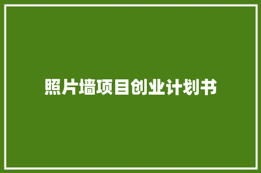 照片墙项目创业计划书