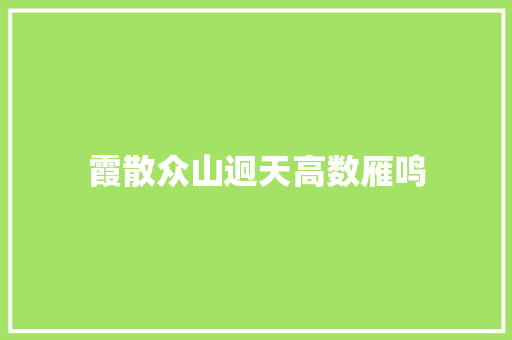 霞散众山迥天高数雁鸣