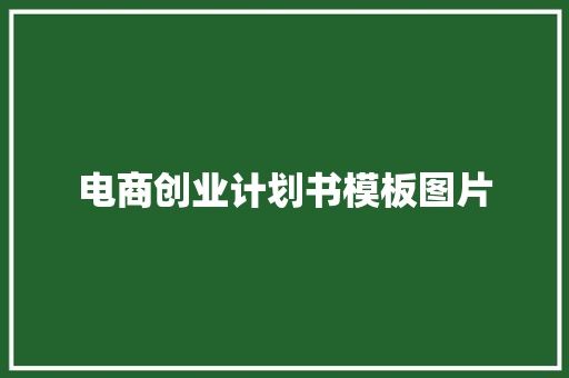 电商创业计划书模板图片