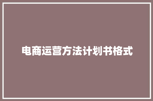 电商运营方法计划书格式