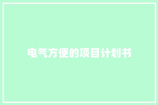 电气方便的项目计划书