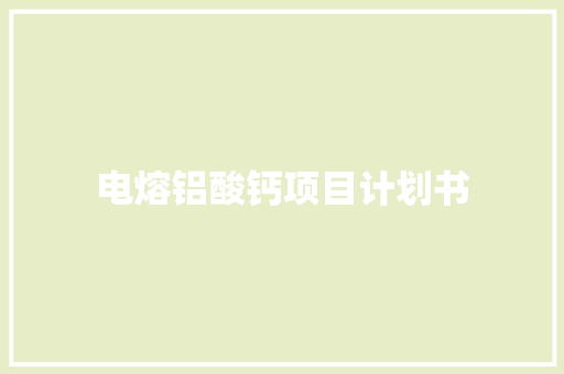 电熔铝酸钙项目计划书