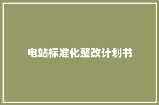 电站标准化整改计划书
