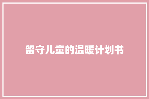 留守儿童的温暖计划书