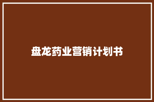 盘龙药业营销计划书