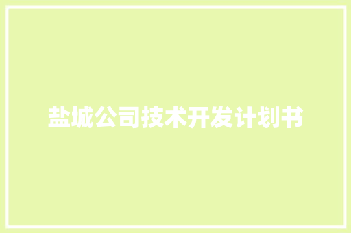 盐城公司技术开发计划书