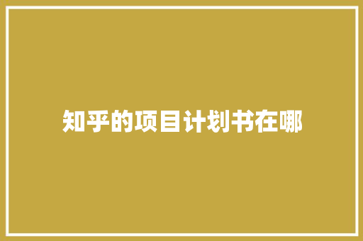 知乎的项目计划书在哪